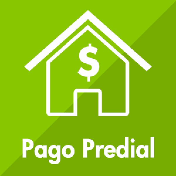 Pago de predial