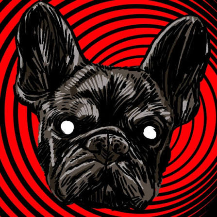 Perro Negro