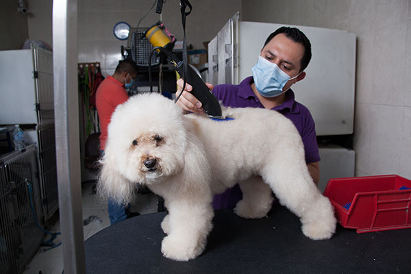 Pet Center